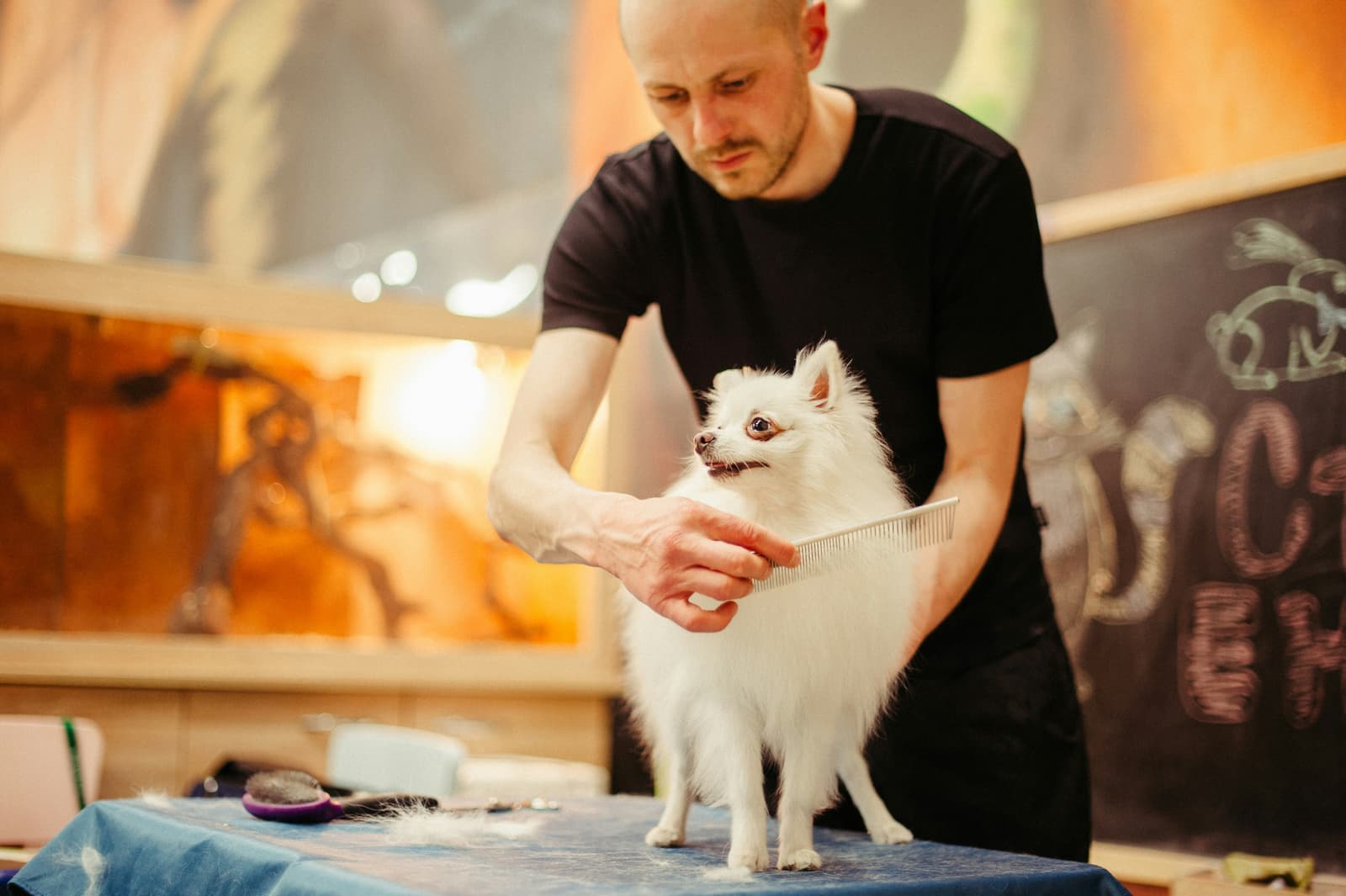 Pet Grooming